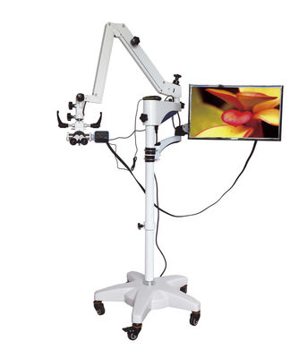 CK-11 LED Binocular ENT Treatment ENT Surgical DENTAL ENT Operating Microscope